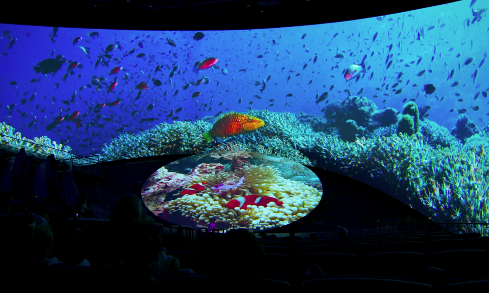 Aquarium of the Pacific - AOP PV6 1000x600